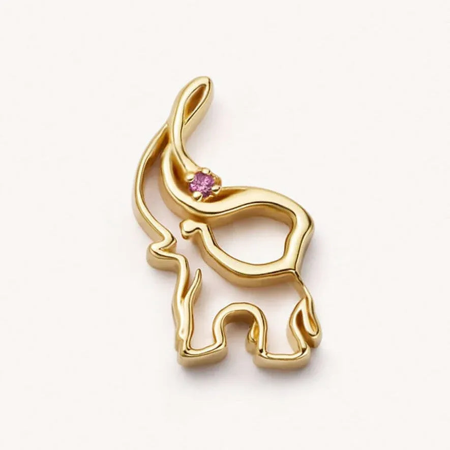 Collier Personnalisable - Charms Interchangeables